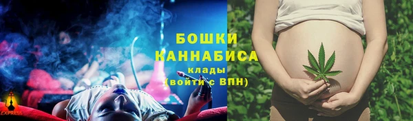 амф Богородицк