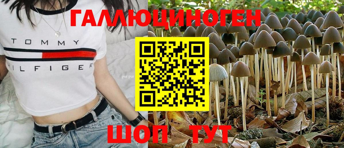 Псилоцибиновые грибы Psilocybine cubensis  Вход с VPN  Галлюциногенные грибы MAGIC MUSHROOMS  Воскресенск 