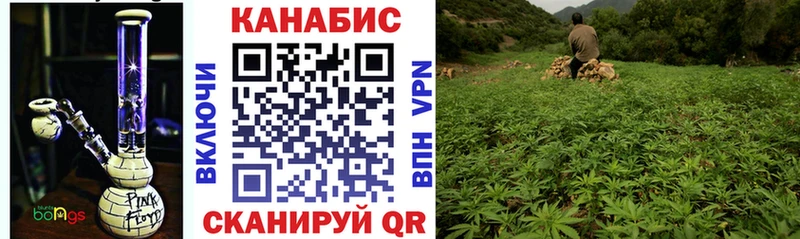 Конопля сатива Воскресенск